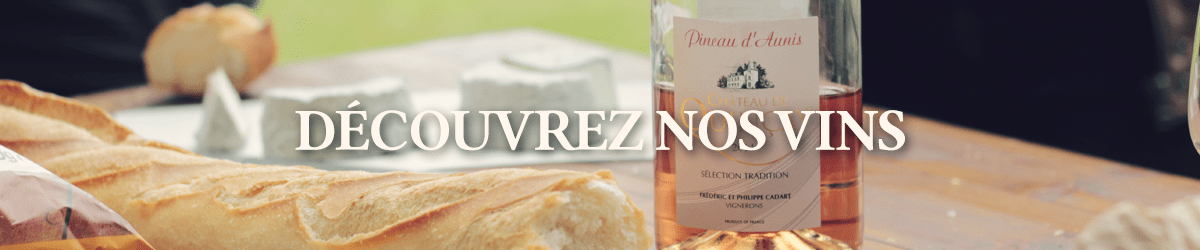 pineau-fromage