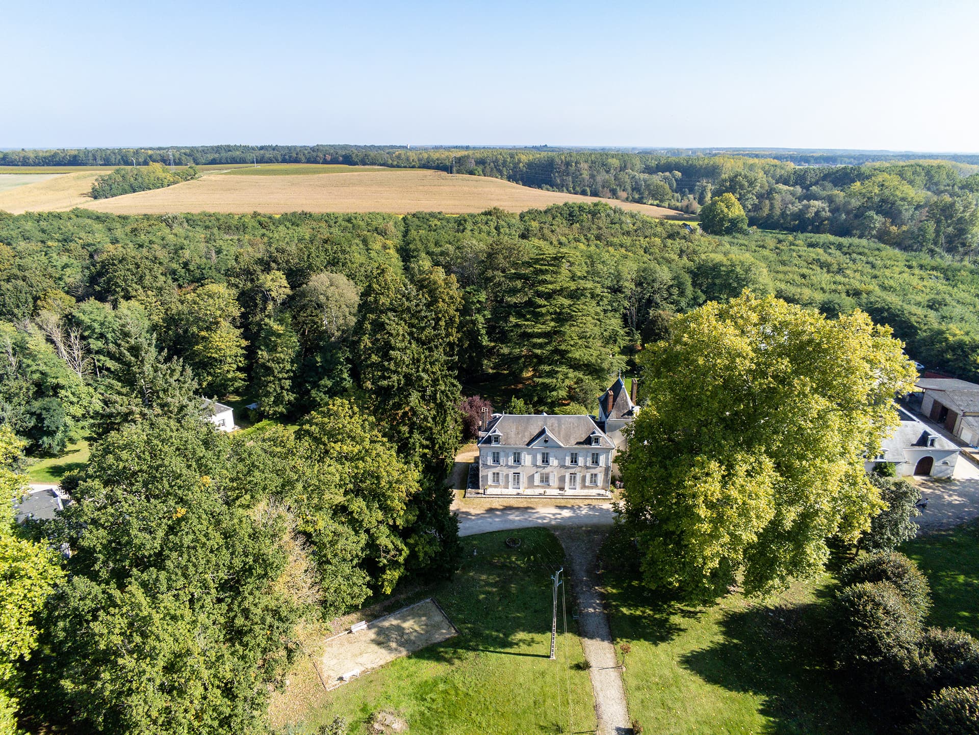 VINEYARD - Château de Quinçay